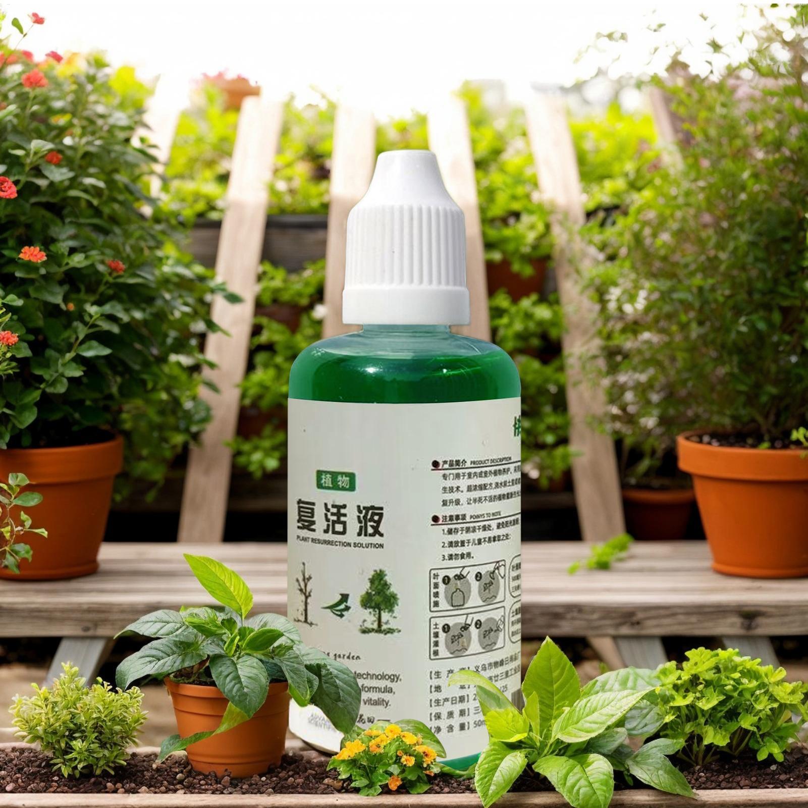 Estimulador de Raízes para Pla - Root Stimulator Liquid avaliação e preço