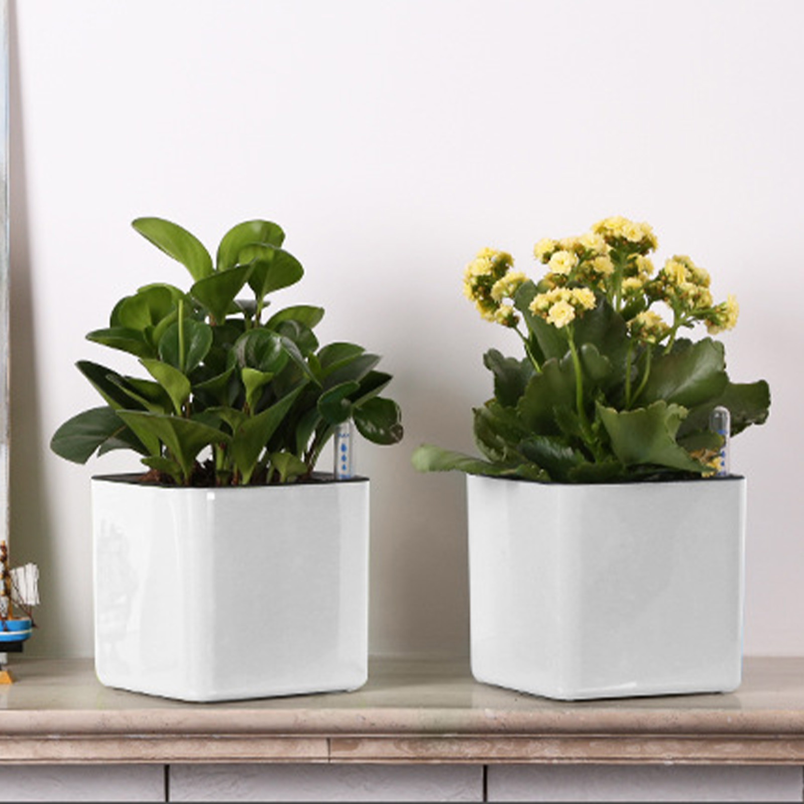 Vaso de flores preguiçoso de 3 - Self Watering Insert avaliação e preço