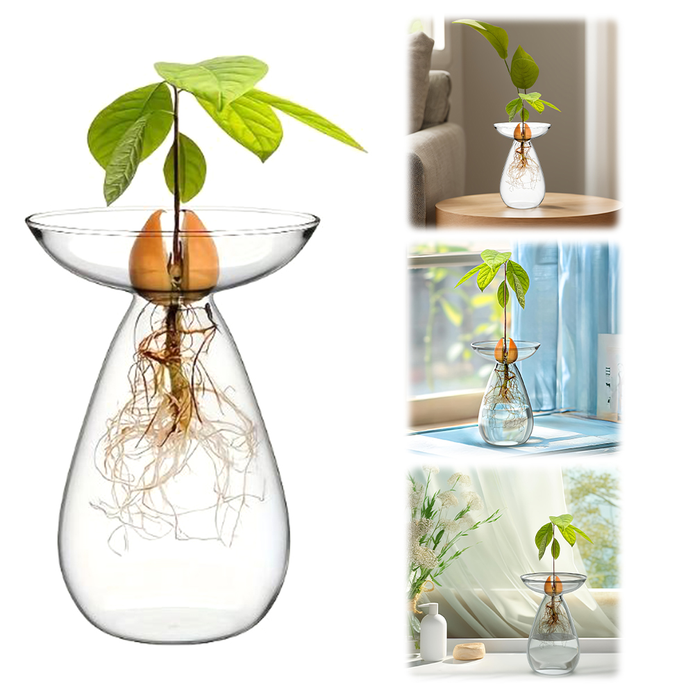 Vaso Transparente para Propaga - Propagation Station Vase avaliação e preço