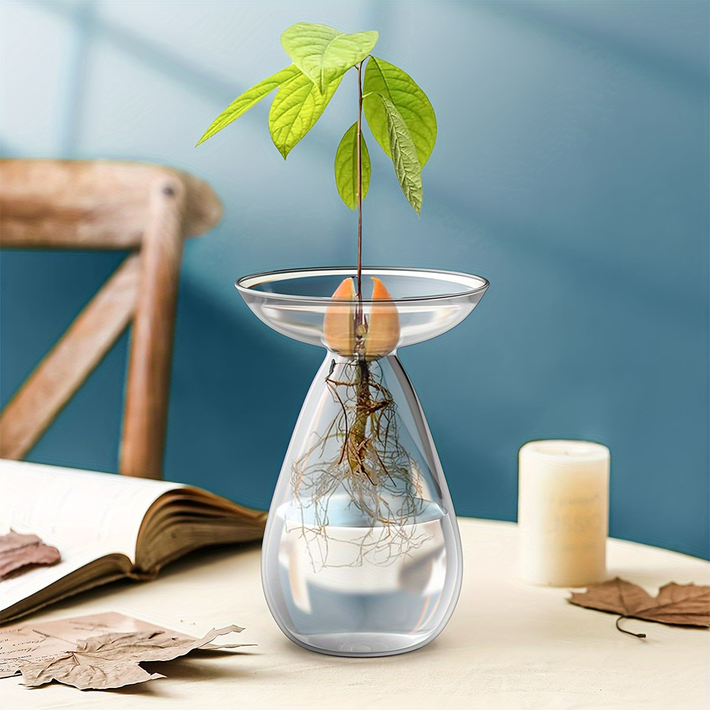 Vaso Transparente para Propaga - Propagation Station Vase avaliação e preço