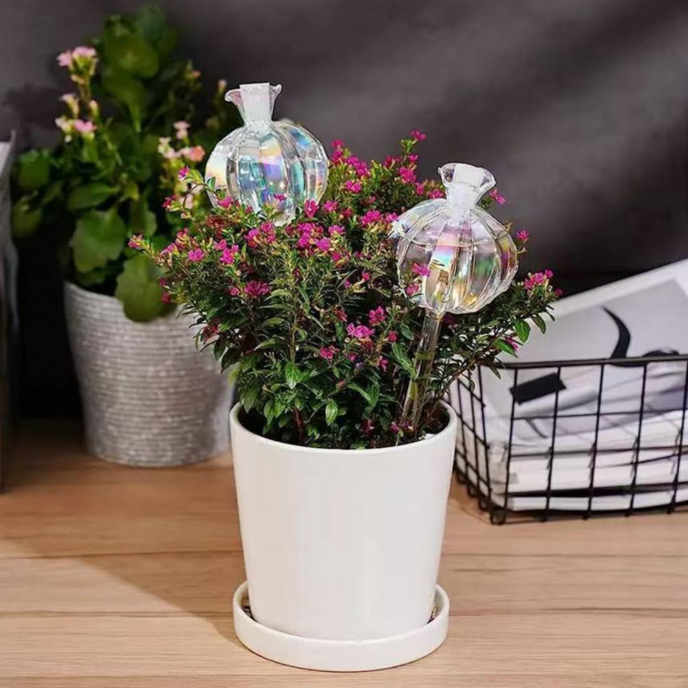 24cm cactus auto rega lâmpadas - Self Watering Insert avaliação e preço