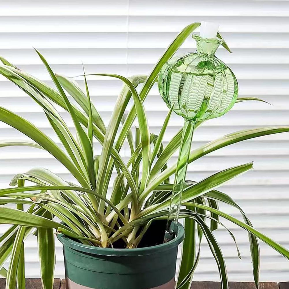 24cm cactus auto rega lâmpadas - Self Watering Insert avaliação e preço