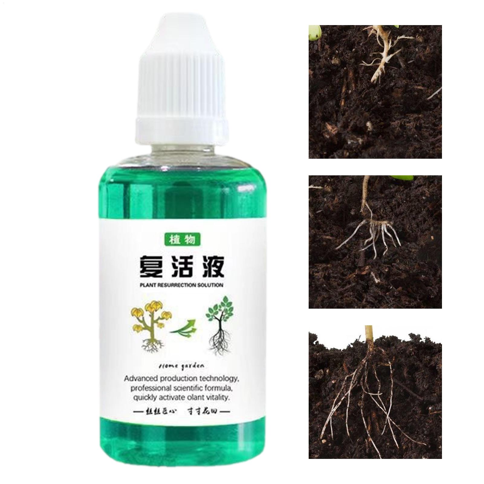 Estimulador de raízes para pla - Root Stimulator Liquid avaliação e preço