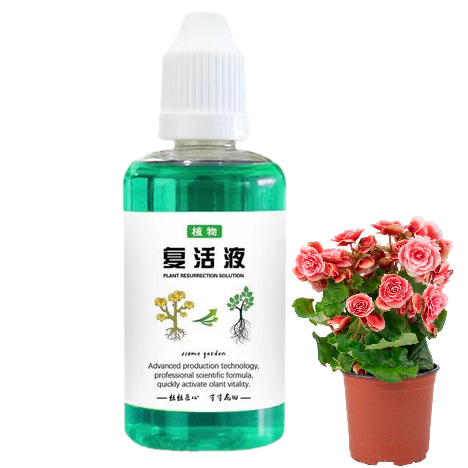 Estimulador de raízes para pla - Root Stimulator Liquid avaliação e preço