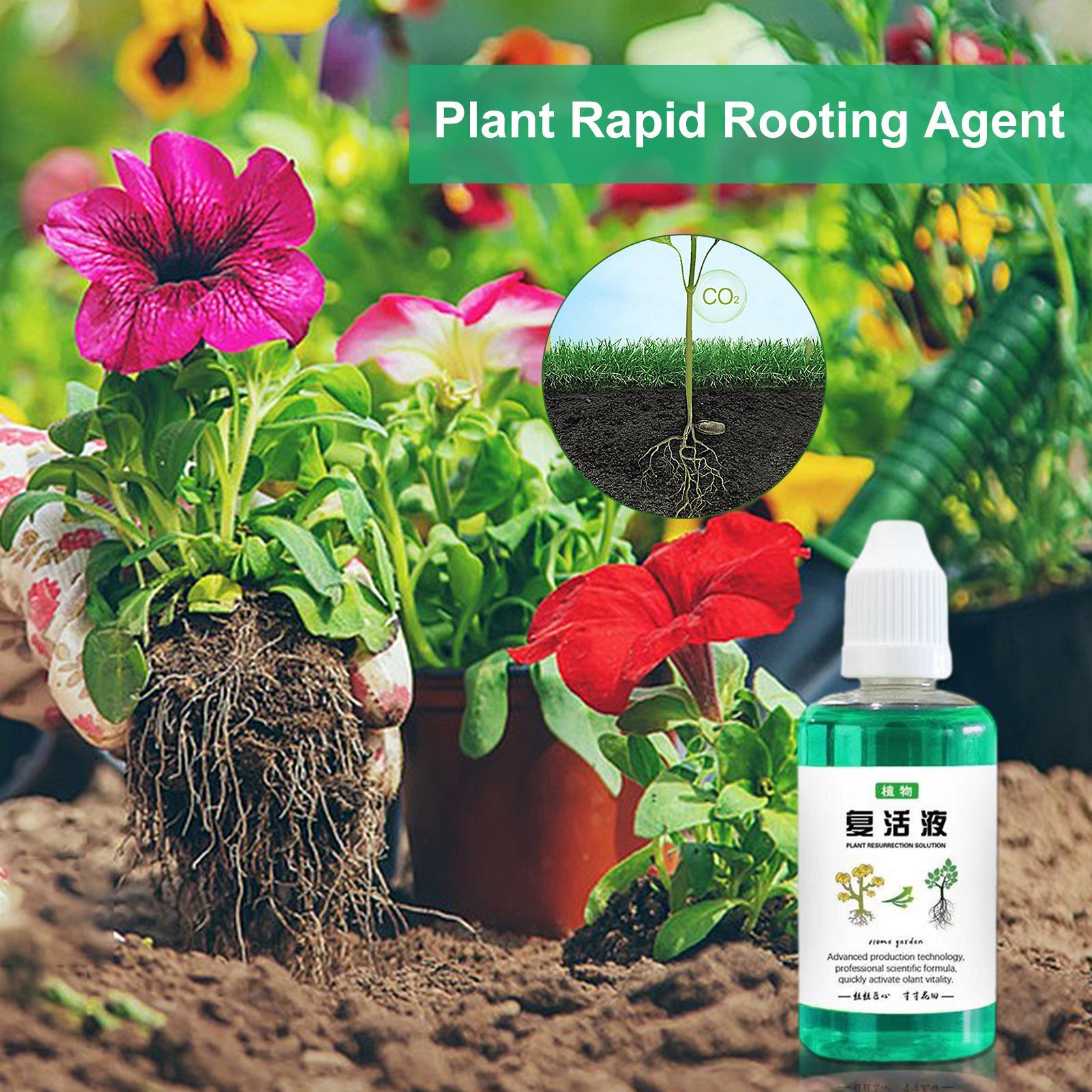 Estimulador de raízes para pla - Root Stimulator Liquid avaliação e preço