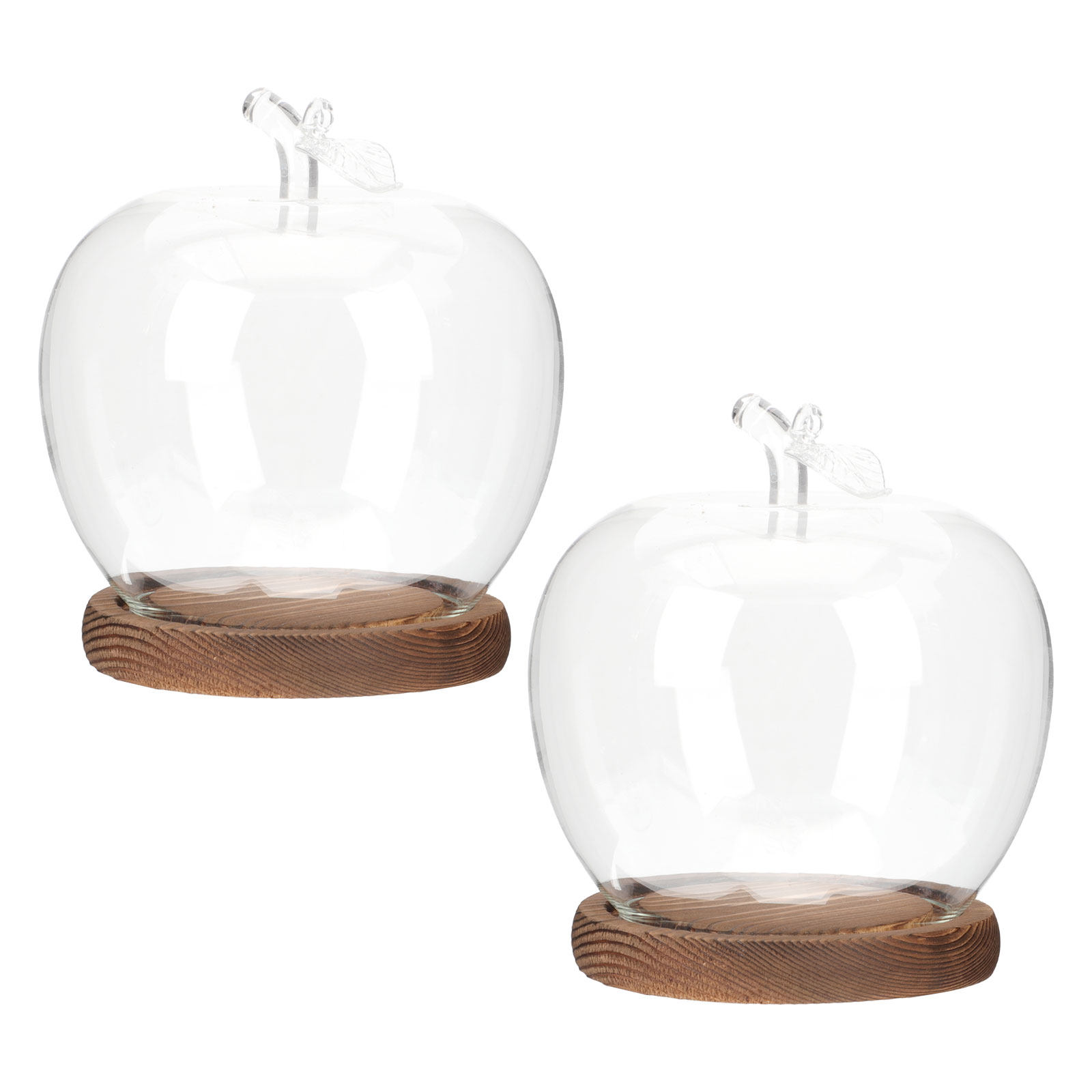 2 Peças de Cúpula de Vidro Tra - Plastic Dome Clear avaliação e preço